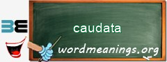 WordMeaning blackboard for caudata